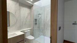 Palm Drive (D15), Semi-Detached #464145811
